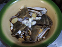 辰鮮派梭子蟹鮮活冷凍舟山梭子蟹特大螃蟹野生海鮮水產(chǎn)大白蟹3斤凈重 4-6兩/只 【3斤 肉多肥美】 曬單實(shí)拍圖