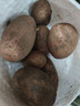 內蒙紅皮大土豆新鮮黃心土豆現挖洋芋地蛋馬鈴薯粉面火鍋批發(fā) 紅皮土豆大果 2斤 【單果150g+】 曬單實(shí)拍圖