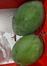 京鮮生 攀枝花凱特芒果 凈重3斤 帶箱3.5斤 單果400g+ 生鮮水果源頭直發(fā) 曬單實(shí)拍圖