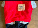憨憨寵 寵物狗狗衣服小型犬泰迪衣服冬季狗衣服小狗衣服透氣四腳棉衣 紅色款 XL號建議體重11-15斤 曬單實(shí)拍圖