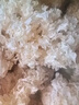 胡慶余堂銀耳100g 鎖鮮干銀耳白木耳雪耳無熏硫銀耳羹道地選材 曬單實拍圖