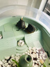 森森魚(yú)缸過(guò)濾器三合一內置小型水族箱過(guò)濾系統增氧泵XQP-1000F 15W 曬單實(shí)拍圖