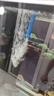 森森森森魚(yú)缸變頻水泵大流量潛水泵水族箱抽水泵底濾水泵魚(yú)池循環(huán)水泵 25W 靜音 3800L/H+2米20MM水管 曬單實(shí)拍圖