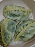 悅味紀 柳葉海菜包360g*2包 12只 裙帶菜肉餡 手工薄皮肉包子早餐半成品 曬單實(shí)拍圖