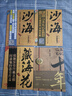 盜墓筆記全套9冊盜墓筆記全套9冊十年之約南派三叔著(zhù)沙海1沙海2藏?；ㄊ陸乙审@悚小說(shuō) 沙海1+沙海2+藏?；?十年  4本 曬單實(shí)拍圖