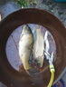 名倫 巨物正品青龍大物魚(yú)竿手桿超輕硬8H19調輕量黑坑鰱鳙臺釣竿 0m 8H19調【輕量巨物】 7.5米送豪華釣魚(yú)禮包 曬單實(shí)拍圖