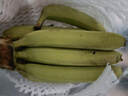 高山精品甜蕉現摘新鮮水果香蕉孕婦寶寶輔食搭配丫丫生鮮特產(chǎn) 2斤帶箱裝【青蕉發(fā)貨】 曬單實(shí)拍圖