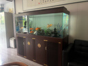 江彩魚(yú)缸客廳2025新款中大型底濾新中式超白辦公室龍魚(yú)缸水族箱 長(cháng)180x寬60x缸75x總高166cm 曬單實(shí)拍圖