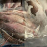 運河鯽魚(yú)漁民捕撈新鮮活體現殺淡水魚(yú)產(chǎn)婦老人小孩煲湯滋補飯店 中號鯽魚(yú)*5包【4-6條/400g/包】 曬單實(shí)拍圖