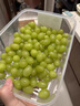 佳幫手冰箱保鮮盒食品級抗菌收納盒密封水果蔬菜冷凍盒2500ml3只裝 曬單實(shí)拍圖