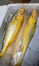軒農谷舟山大黃魚(yú)鮮活野生深海黃花魚(yú)新鮮冷凍海鮮魚(yú)類(lèi)送禮黃魚(yú)海鮮禮盒 6條禮盒裝【單條1-1.3斤】｜年年有魚(yú) 曬單實(shí)拍圖