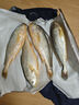 鴻順【冰鮮】黃花魚(yú)4條4斤 生鮮魚(yú)類(lèi) 寧德大黃魚(yú) 地標產(chǎn)品 源頭直發(fā) 曬單實(shí)拍圖