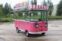 通碩小吃車(chē)餐車(chē)商用餐廳移動(dòng)多功能電動(dòng)四輪流動(dòng)炸串擺攤定制快餐車(chē) 曬單實(shí)拍圖