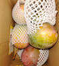 京覓四川凱特芒果新鮮水果凈重8斤單果410g+源頭直發(fā)包郵 曬單實(shí)拍圖