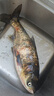 常鼎世嘉系列三色可選魚(yú)竿釣魚(yú)竿碳素超輕超硬臺釣竿鯉魚(yú)竿鯽魚(yú)竿19大物竿 7.2米6H19調大物通殺版+釣魚(yú)禮包 曬單實(shí)拍圖