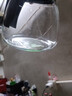 【京東物流】茶壺套裝整套茶具大容量玻璃茶杯帶濾網(wǎng)耐高溫泡茶具 1000ML一壺+四杯套裝 曬單實(shí)拍圖