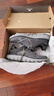 斯凱奇（Skechers）男鞋秋季軟底軟底運動鞋休閑鞋跑步鞋健步鞋232398 曬單實拍圖