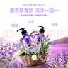 詩(shī)朗 薰衣草洗發(fā)水沐浴露套裝男女持久留香柔順絲滑保濕750ml*2福利品 曬單實(shí)拍圖