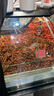 蒙牛真果粒多口味禮盒裝草莓+蘆薈+椰果+桃果粒250g*24盒 中秋送禮 曬單實(shí)拍圖