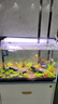 吉印刀鋒s魚(yú)缸燈led燈防水全光譜魚(yú)缸照明燈水草燈小型超白魚(yú)燈56cm 曬單實(shí)拍圖