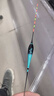 小鳳仙夜光漂咬鉤變色高靈敏度超亮醒目日夜兩用鯽魚(yú)電子漂野釣輕口漁具 L-DL02-3 綜合鯽鯉 吃鉛約2.5g 夜光款(不變色) 曬單實(shí)拍圖