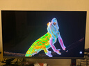 海信G7 Ultra 27英寸3A原畫 黑曜屏 1152分區(qū) MiniLED DP2.1 4K160Hz雙模 320Hz HDR1400 電競顯示器 曬單實拍圖