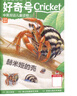 【送文具大禮包】好奇號雜志組合任選雜志鋪 2026年1月起訂 共12個(gè)月訂閱  6-12歲青少年科普百科通識讀物圖書(shū)少兒閱讀小學(xué)生課外閱讀圖書(shū)青少年中英雙語(yǔ)Cricket Media中文版 【推薦】好 曬單實(shí)拍圖