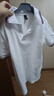 羅蒙男童短袖polo衫校園服飾春夏T恤女童班服 條紋白色短袖POLO衫130 曬單實拍圖