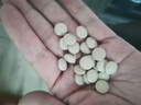 派迪諾（PAIDINUO）寵物狗狗貓咪維生素片貓多維幼貓幼犬復合維生素營(yíng)養品 200片/瓶 曬單實(shí)拍圖