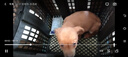 麥基樂(lè )中華田園犬黑犬黃狗白狗虎斑四眼鐵包金土狗幼犬活體 田園級 黃狗 公 曬單實(shí)拍圖