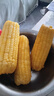當季新貨頭茬東北黃甜糯玉米棒真空包裝低脂黃糯大棒甜東北黏苞米 黃糯玉米【120-160克】4根 曬單實(shí)拍圖