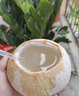 高端品質(zhì)泰國當季椰皇新鮮水果椰子現摘奶香椰皇椰子椰青-琮沐 1粒裝（單果400-500克） 曬單實(shí)拍圖