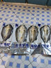 黃小漁寧德三去海鱸魚(yú) 4斤/4條 冷凍開(kāi)背鱸魚(yú) 生鮮 中秋魚(yú)類(lèi)源頭直發(fā) 曬單實(shí)拍圖