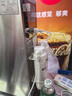 志高（CHIGO）步進(jìn)式開(kāi)水器商用開(kāi)水機奶茶店吧臺機辦公室全自動(dòng)電熱飲水機熱水機餐廳吧臺燒水器 【過(guò)濾款】50L/h出水2.5Kw 曬單實(shí)拍圖