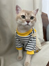 貓吖貓咪衣服秋冬保暖新款四腳背帶褲全包寵物狗狗衣服德文布偶防掉毛 黃色小熊背帶褲 M背長(cháng)30cm(貓7-10斤/狗6-10斤) 曬單實(shí)拍圖