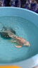 寵翰魚(yú)鹽魚(yú)缸清潔鹽觀賞魚(yú)水族鹽海鹽凈化水質(zhì)養(yǎng)魚(yú)用品2斤 曬單實(shí)拍圖