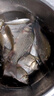 神鯊黑韌魚(yú)竿手竿4.5米超輕超細碳素鯽魚(yú)竿37調釣魚(yú)竿臺釣竿漁具套裝 曬單實(shí)拍圖