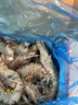 美加佳大號黑虎蝦 去冰凈重2斤 20-30只 燒烤大蝦 生鮮蝦類(lèi) 曬單實(shí)拍圖