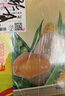 金豆芽?jì)和疸y花柚子汁155ml*16瓶夏天孩子飲料寶寶零食果汁西柚汁 曬單實(shí)拍圖