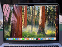 【99成新】Apple/蘋果AI筆記本/2025款MacBookAir13英寸M4(10+8核)16G256G天藍(lán)色電腦MC6T4CH/A 曬單實拍圖