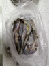 蝦有蝦途青島大蝦無(wú)冰新鮮海蝦白蝦鮮活冷凍大蝦批發(fā)3.6斤凈重 青島大蝦 3.6斤(凈重)  只只分離 18-20cm【超大蝦皇】無(wú)冰 曬單實(shí)拍圖