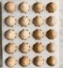黃天鵝可生食雞蛋 20枚/2.12斤禮盒裝 生鮮雞蛋早餐源頭直發(fā) 無(wú)抗生素 曬單實(shí)拍圖