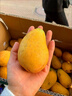 黃六爺海南小臺農芒果9斤新鮮水果當季時(shí)令熱帶水果整箱紅金玉青煌芒果 3斤 香甜-小果【試吃嘗鮮】 曬單實(shí)拍圖