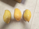 京配嘉果云南新鮮鷹嘴芒甜心芒尖嘴芒黃皮熱帶應季水果樹(shù)上熟整箱 2斤優(yōu)選裝 曬單實(shí)拍圖