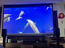 Vidda C2 Pro 海信4K超高清純?nèi)す庠婆_(tái)投影儀 家用白天臥室家庭影院(超級(jí)光學(xué)變焦)國(guó)家補(bǔ)貼20%  曬單實(shí)拍圖