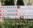 第56號教室的奇跡系列（全四冊）讓孩子變成愛(ài)學(xué)習的天使+點(diǎn)燃孩子的熱情+說(shuō)給老師的真心話(huà)+成功無(wú)捷徑 第56號教室的奇跡系列（全四冊） 曬單實(shí)拍圖