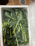 云南現(xiàn)摘新鮮羽衣甘藍榨汁組合裝減脂解暑健康小綠瓶蔬菜 羽衣甘藍2kg裝 曬單實拍圖