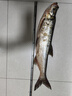 夢(mèng)輝一發(fā)PRO緩沉顫沉仿生沉水鉛筆釣翹嘴海鱸鳡魚(yú)鉛筆路亞餌 黑絲白條 17克（超緩沉） 曬單實(shí)拍圖