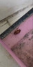 蟑螂藥特效強力全窩端除蟲(chóng)卵雙殺滅家用驅丸粘板噴霧日本進(jìn)口神器 6枚一盒裝【全屋驅蟑螂+連環(huán)滅殺】 曬單實(shí)拍圖