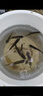 YGK A-LK日本進(jìn)口碳線(xiàn)路亞前導線(xiàn)專(zhuān)用主線(xiàn)子線(xiàn)高端耐磨磯釣海釣超強拉力線(xiàn) YGK A-LK【碳素線(xiàn) 正品】100米 2.0號 曬單實(shí)拍圖